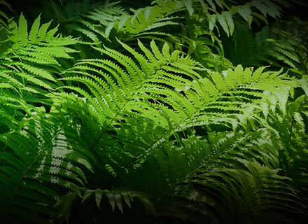 yp�ֻ���������Ϸ(�й�)�ٷ���վ